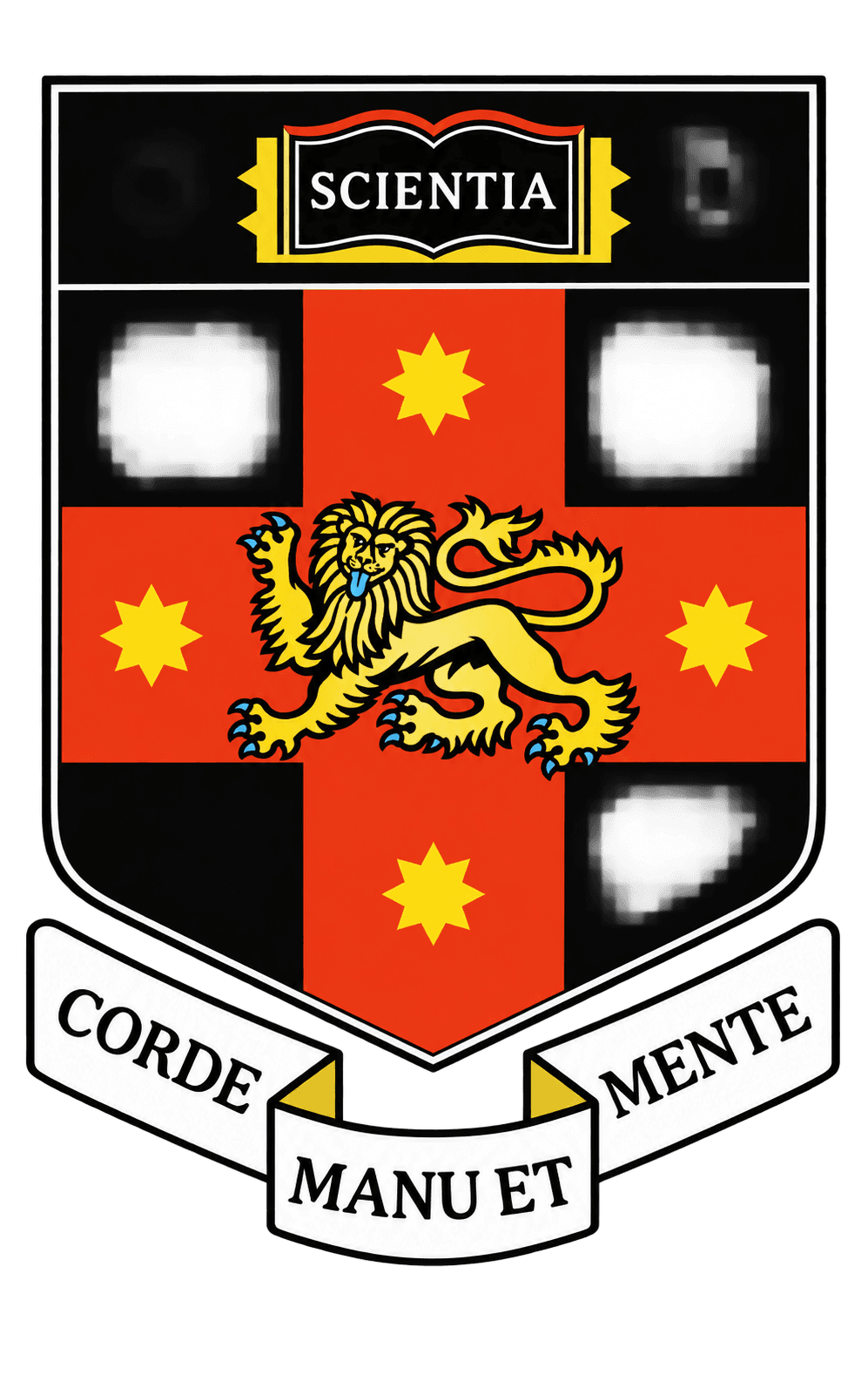 University of New South Wales (UNSW) logo